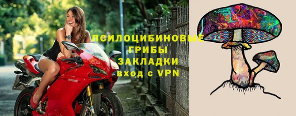 хмурый Алзамай