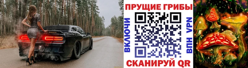 kraken маркетплейс  Дмитров  Псилоцибиновые грибы Psilocybine cubensis 